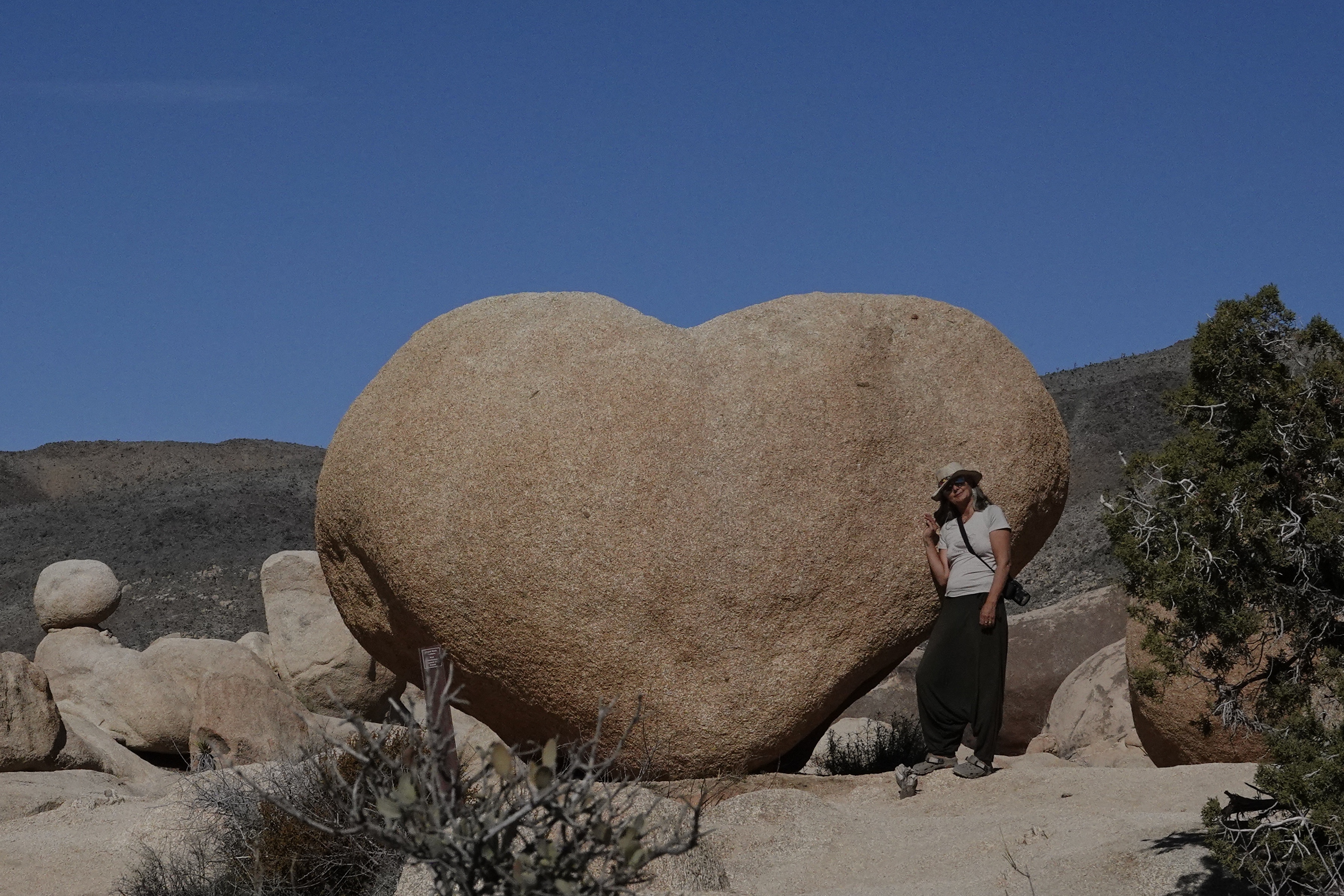 Paysage de Joshua Tree National Park